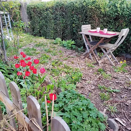 Appartement les coquelicots à Colmar Extérieur photo